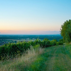 DSC-2694-Arbeitskopie-3