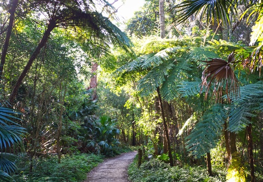 Australien 20131212 0021