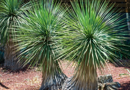 Australien 20131213 0044