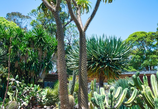 Australien 20131213 0047