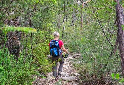 Australien 20131214 0061