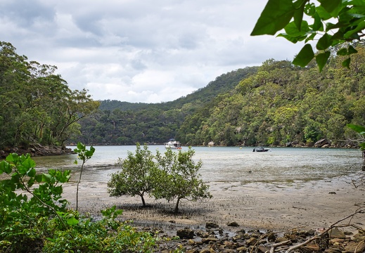 Australien 20131214 0063