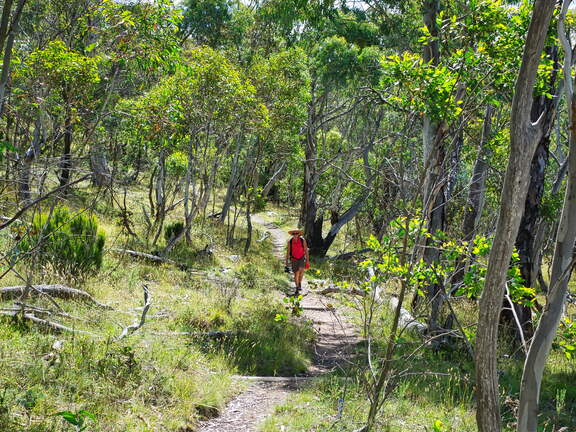 Australien 20140102 0532