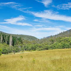 Australien 20140102 0533