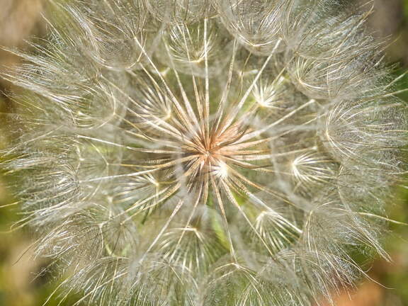 Australien 20140102 0540