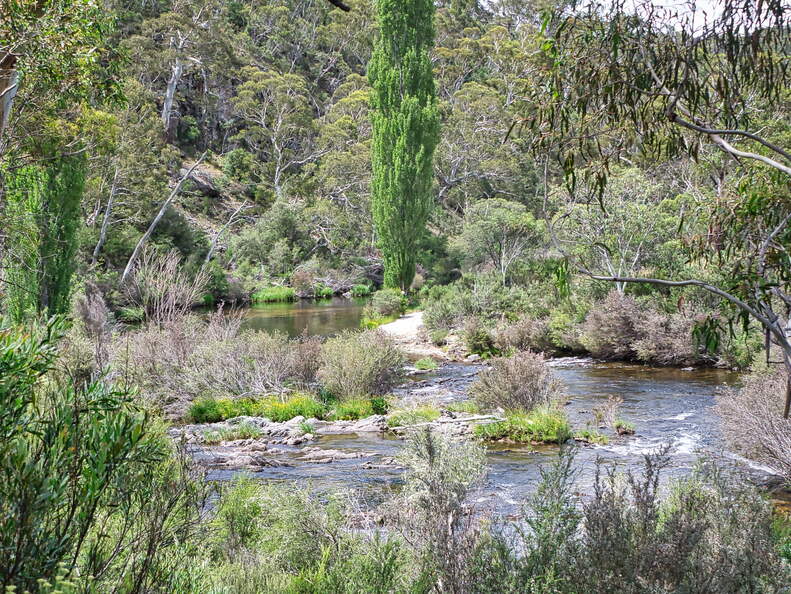 Australien 20140102 0550