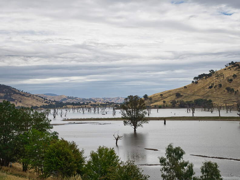 Australien 20140103 0560