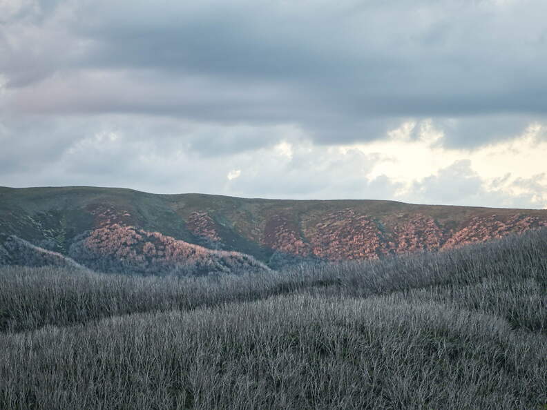 Australien 20140103 0563