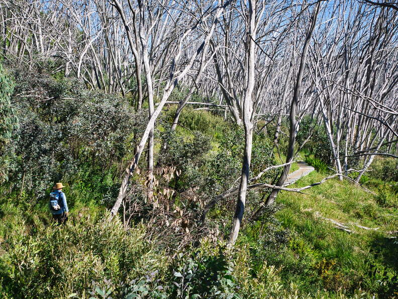 Australien 20140103 0565