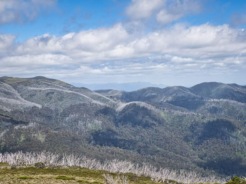 Australien 20140104 0578