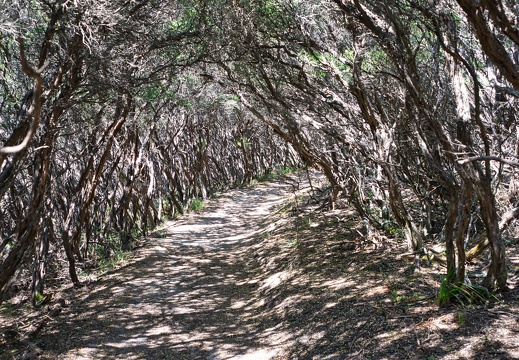 Australien 20140109 0801