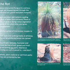 Australien 20140109 0806