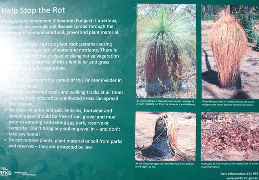 Australien 20140109 0806