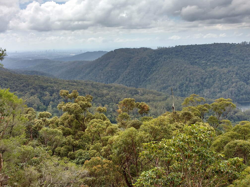 IMG 20160914 112651590 HDR