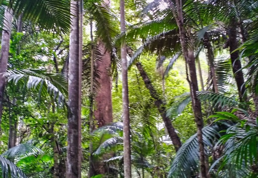 IMG 20160917 131537473