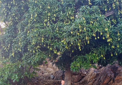 IMG 20161002 183822661