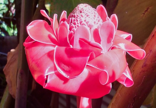 IMG 20161009 083409110 HDR