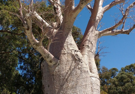 IMG 20161012 130744265