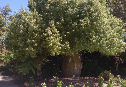 IMG 20161012 134134541