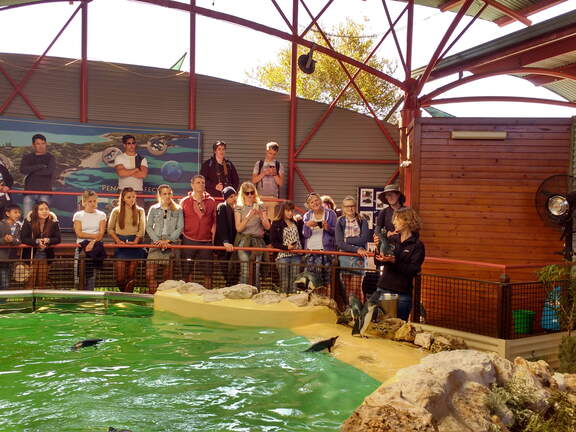 IMG 20161016 164415212 HDR