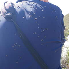 IMG 20161020 164407101