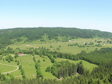 DSC05275