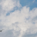 DSC_8476.jpeg