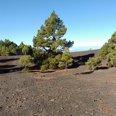 IMG 20171020 102623326