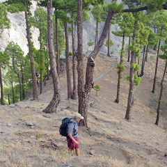 IMG 20171022 144643581