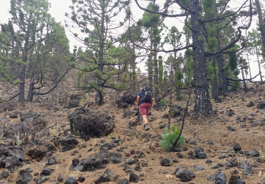 IMG 20171026 112946919