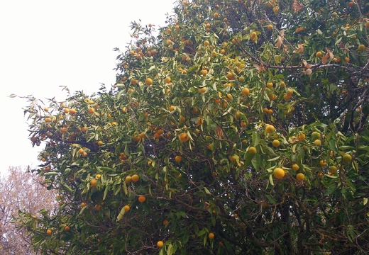 IMG 20171028 113256140