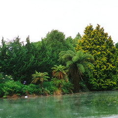 Bild010