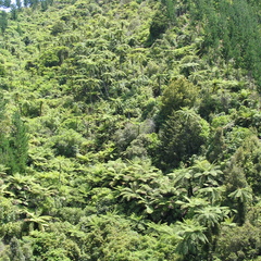 IMG 0218