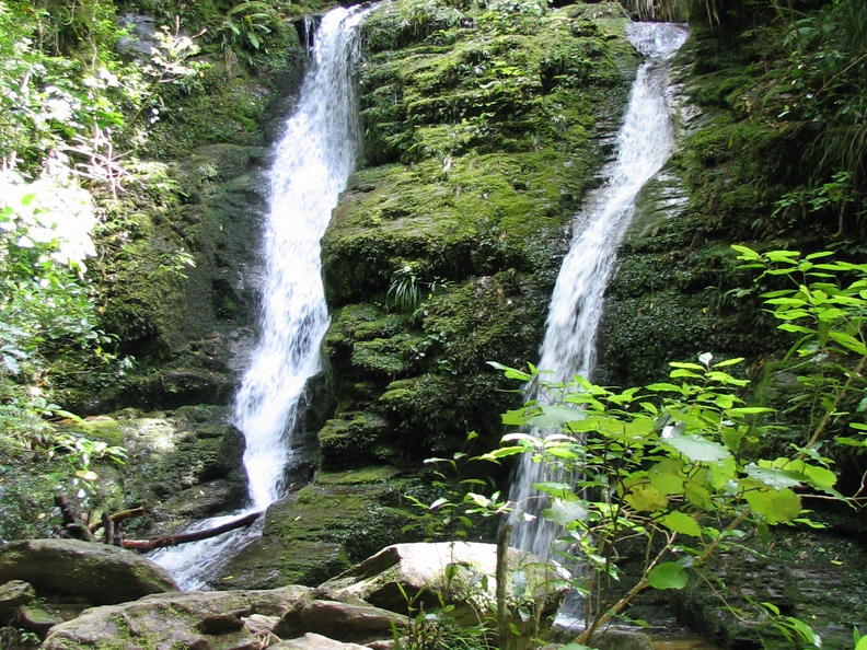 IMG 0255