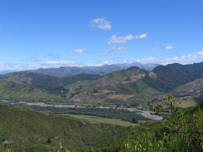 IMG 0358