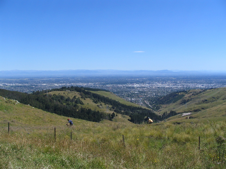 IMG 0488