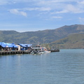IMG 0502