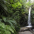 DSC00775.JPG