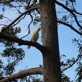 DSC02512.JPG