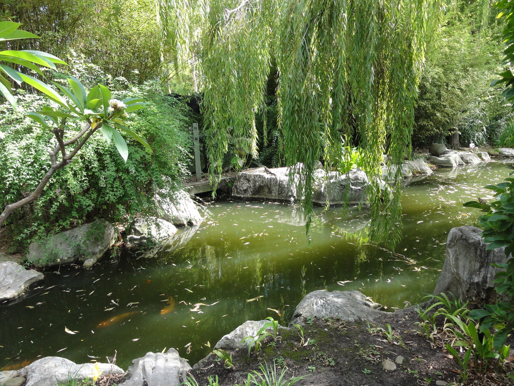 DSC02901