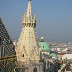 IMG 0280
