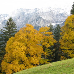IMG 0479