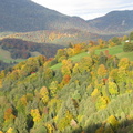 IMG_0506.jpeg