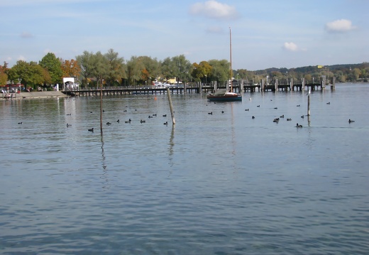 IMG 0549