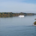 IMG_0727.jpeg