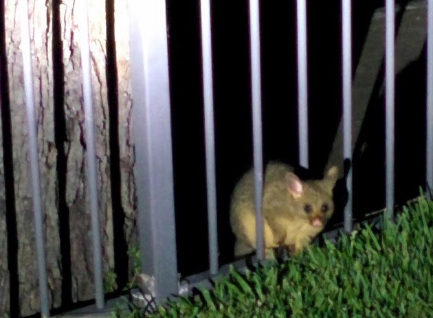 unbenannte Fotosession 20131212 0983