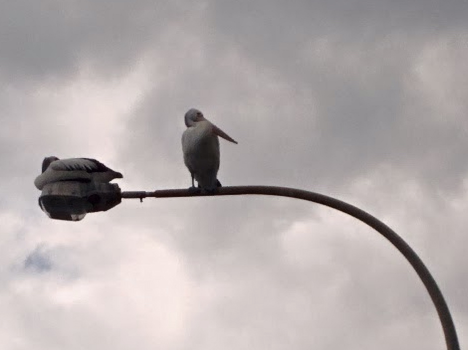 unbenannte Fotosession 20131215 1000