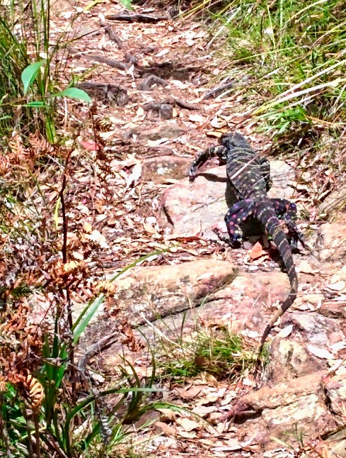 unbenannte Fotosession 20131214 0995