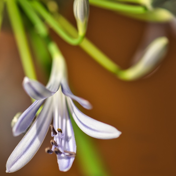 DSC_3359.jpeg