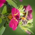 DSC 3554